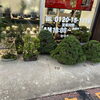 「🌿植物も売れる！宇都宮の出張買取なら買取おたふく」