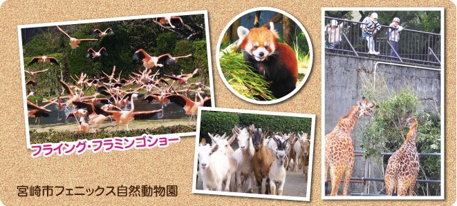 宮崎市フェニックス自然動物園