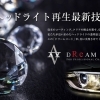国産車　Lサイズ（大型ワゴン車）左右セット《ドリームコート導入キャンペーン》