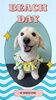 「Dog salon mofu mofu　余市町」