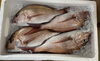 「ハラコ販売中でーす‼️鮮魚パックいろいろ販売中‼️〆鯖も販売致します🐳」