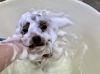 パック中〜　^o^「はじめまして^ - ^」