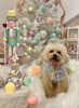 まっちゃちゃん「MerryXmas🎄」