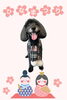 「Dog salon mofu mofu　余市町」