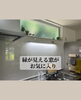 緑が映えるお洒落なキッチン空間「【1年半後のリアル】暮らしを整えるキッチン＆リビング収納と、4/25・26家づくり勉強会【残4枠】」