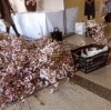 「いけばな展」