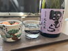 晩酌「【福生の夏を楽しむ】散歩ついでに、福生の地酒を買いに🍶」
