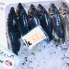 「魚魚市場鮮魚コーナーおすすめは「アジ・イトヨリ」です♪」