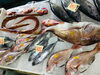 「魚魚市場鮮魚コーナーおすすめは「シマイサキ・大アジ」です♪」