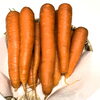 「自然食料理塾　指定野菜その④」