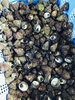 「魚魚市場鮮魚コーナーおすすめは「イサキ・金目鯛」です♪」