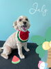 「お友達♡ Dog salon mofu mofu 余市町」