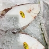 「魚魚市場鮮魚コーナーおすすめは「のどぐろ・クロムツ」です♪」