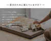 「【NEW】Dogケアマットレス登場！」