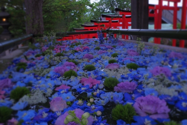 18時頃の様子。キレイだけど蚊が…。。夏ですね。「六月の花手水がはじまりました。」