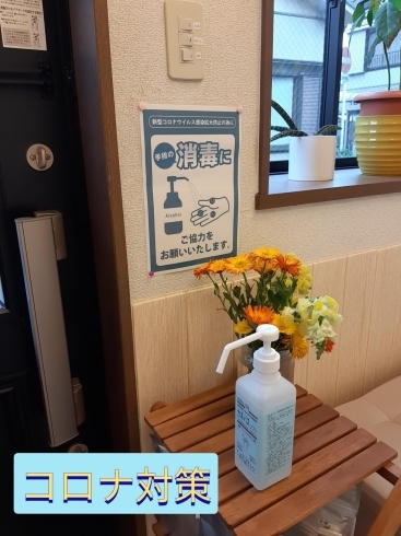 今すぐどうにかしたい寝違えに 船橋駅徒歩8分で21時まで受付 仕事帰りに行ける整体 おかもとはりきゅう院 ネット予約できます おかもとはりきゅう院のニュース まいぷれ 船橋市 今すぐどうにかしたい寝違えに 船橋駅徒歩8分で21時まで受付 仕事帰りに行ける整体 おかもとはりきゅう院 ネット予約できます おかもとはりきゅう院のニュース まいぷれ 船橋市