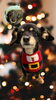 「Dog salon mofu mofu　余市町」
