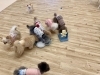 みんなでノーズワーク😋「ましゅまろ幼稚園🐾」