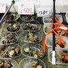 「魚魚市場鮮魚コーナーおすすめは「ボイル伊勢えび・甘塩の開き」です♪」