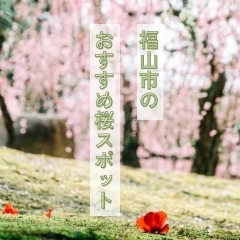 春が来た♪　福山市内にあるオススメ桜・お花見スポットまとめ【福山市のお花見情報】