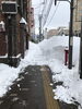 フジメガネさん横「確保」