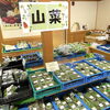 「農産物直売所『地元産 山菜』入荷します！道の駅木曽福島」