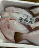 「鮮魚入荷してまーす」