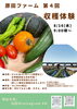 収穫体験「最後まで読んで下さい、野菜以上の物を持って帰ってもらいました」