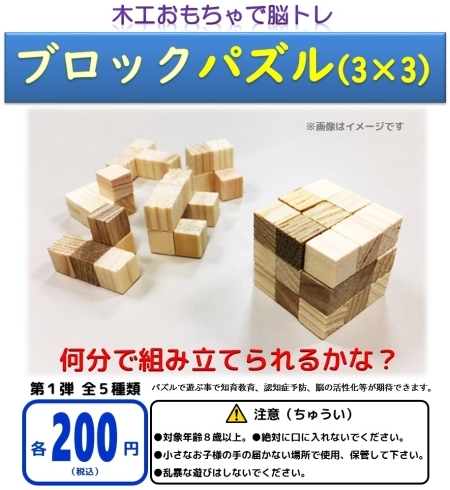 ブロックパズル（３×３）　全５種「木工パズルをガチャガチャで販売しています。お得なセット販売もあります。」