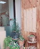 メニュー看板をとりました。「 ＊税込表示になるので、、、＊」