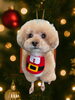 「Dog salon mofu mofu　余市町」