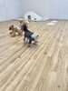 追いかけっこスタート😁「ましゅまろ幼稚園🐾パート２」