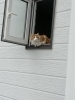 お出迎え猫🐱ノアくん「【深呼吸したくなる空間を目指して】愛が詰まったアイテムご紹介(^^) 【札幌北区篠路プライベートサロン　Te-tora】 美軸・数霊術カウンセリングも好評！脳波と骨格を整え睡眠の質を上げる安眠サロン」