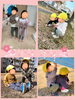 「♡ひなまつり♡【交野市・小規模保育園】」