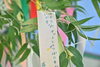 「ムーヴ体操クラブ福知山校では 七夕にちなんで笹飾りを出しました【Vol.2】」