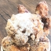 スゥィートチーズチキン　カップ入り　（Sweet Cheese Chicken）