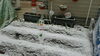 「令和3年1月１２日初雪」
