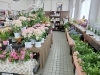 「季節の花で、生活に彩りを。」