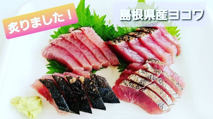 本日のお刺身 定置もん 島根県産ヨコワ 白イカ 寺津屋 仕出し 会席料理のニュース まいぷれ 松江 本日のお刺身 定置もん 島根県産ヨコワ 白イカ 寺津屋 仕出し 会席料理のニュース まいぷれ 松江