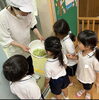 「5月27日の年中ぐみの活動」