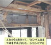 「シロアリの被害例です」