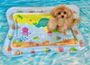 ＰｏＰｏ「波とわんこ🌊　うちの子編」