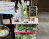 新店特集〉【大開】夢菜園（ユメサイ）（2025.12.30オープン） | 大阪