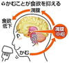 よく噛むことで食欲が抑えられる「食事をするときにも消費するエネルギー（DIT）について【女性専用24Hジムのアワード八王子】」