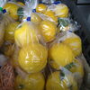 柚子「お野菜入荷」