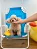 ロールちゃん「サマービーチ🏖️&予約状況」