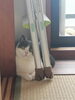 ねこのガブリエルくん「【事務の独り言】お宅訪問」