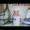 マグカップハムスター！おもしろ可愛いハムスター☆OLD PYREX Old Town Blue cute funny hamster　＃31