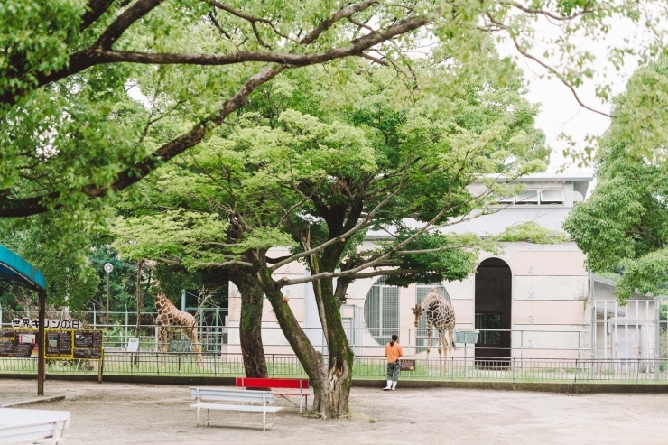 大牟田市動物園