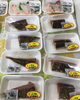「魚魚市場鮮魚コーナーおすすめ商品は「水イカ」です」